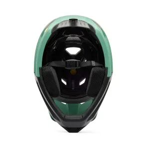 FOX Proframe RS helmet (sol pine)